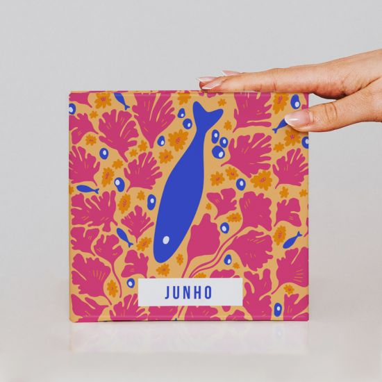 Álbum de Junho 4